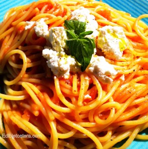 Blog, roasted tom sauce with pasta