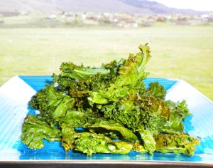 BLOG, Kale Crisps 009
