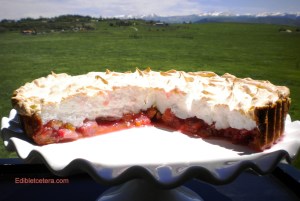 Rhubarb strawberry meringue 009