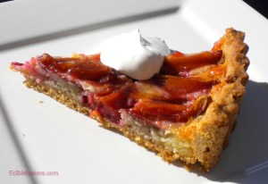 BLOG Plum Almond tart 011