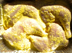 Indian Spiced Baked Chicken - stage 1