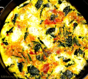 Prosciutto and Brie frittata 003