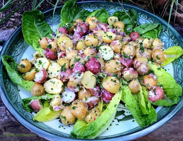 Caesar Potato Salad